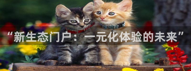 永盈welcome体育凯捷平台代理