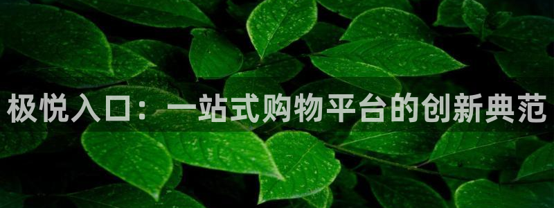永盈welcome体育娱乐注册链接：极悦入口：一站式购物平台的创新典范
