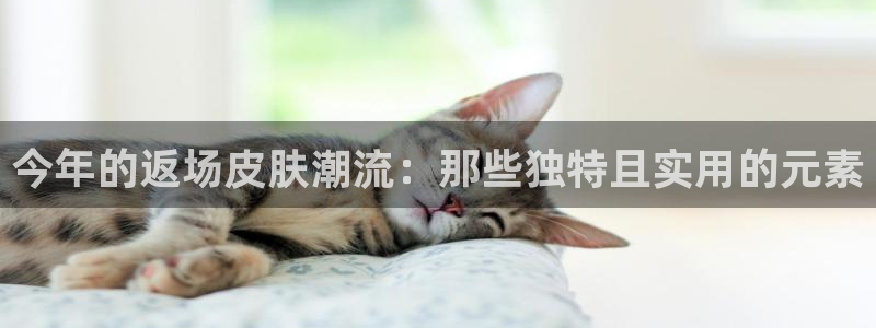 永盈welcome2注册：今年的返场皮肤潮流：那些独特且实用的元素