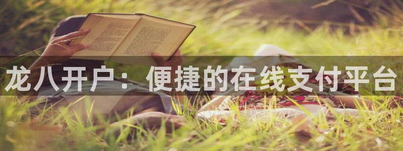 永盈welcome招商：龙八开户：便捷的在线支付平台