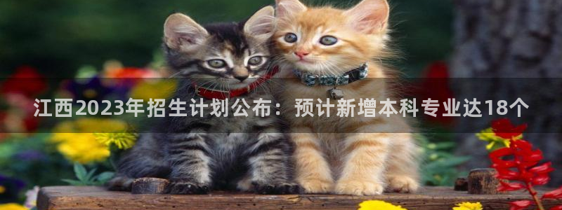 永盈welcome平台在线注册：江西2023年招生计划公布：预计新增本科专业达1