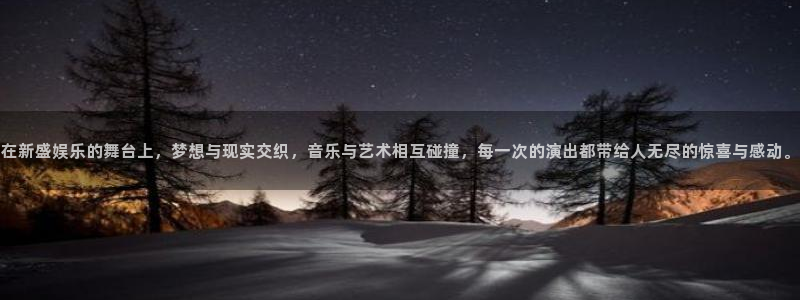 永盈welcome官网入口：在新盛娱乐的舞台上，梦想与现实交织，音乐与艺术相互碰