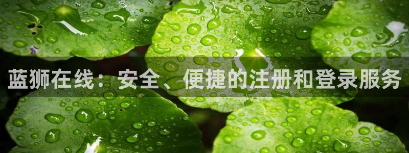 永盈welcome3官网登录：蓝狮在线：安全、便捷的注册和登录服务