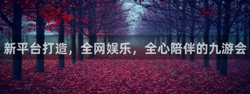 永盈welcome平台开户链接：新平台打造，全网娱乐，全心陪伴的九游会