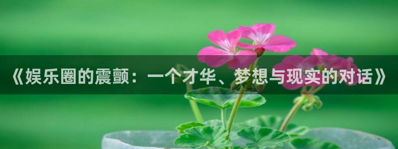 永盈welcome4注册：《娱乐圈的震颤：一个才华、梦想与现实的对话》