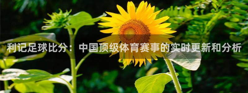 永盈welcome体育eon：利记足球比分：中国顶级体育赛事的实时更新和分析