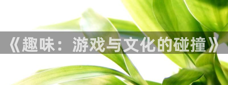 永盈welcome主管：《趣味：游戏与文化的碰撞》