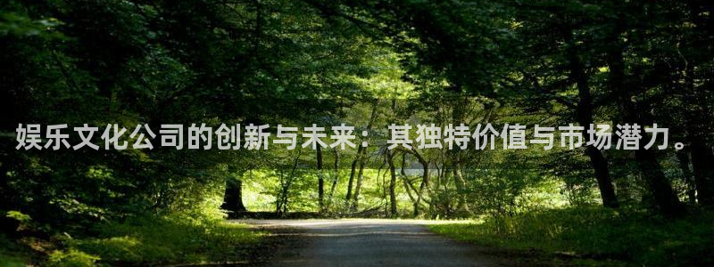 永盈welcome体育凯捷平台代理：娱乐文化公司的创新与未来：其独特价值与市场潜