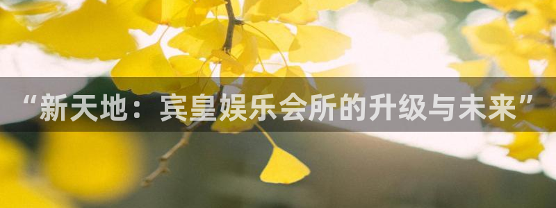 永盈welcome集团：“新天地：宾皇娱乐会所的升级与未来”