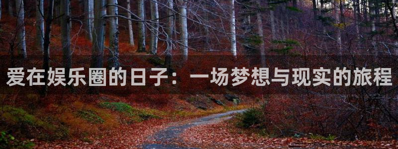 永盈welcome零能源集团：爱在娱乐圈的日子：一场梦想与现实的旅程