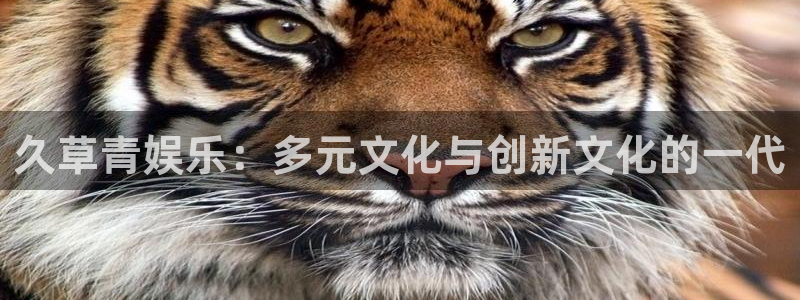 永盈welcome凯捷注册：久草青娱乐：多元文化与创新文化的一代