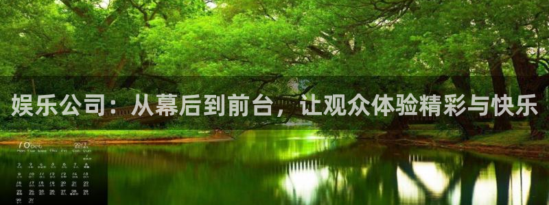 上海永盈welcome汽车电子有限公司：娱乐公司：从幕后到前台，让观众体验精彩与快乐