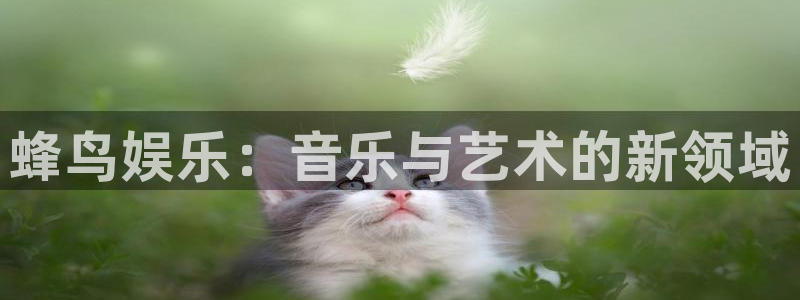 永盈welcomef平台注册：蜂鸟娱乐：音乐与艺术的新领域
