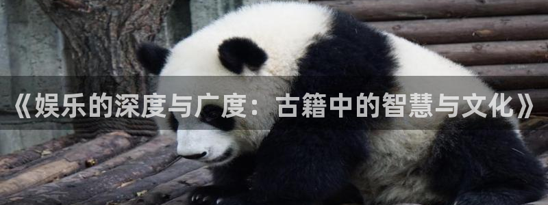 永盈welcomef平台注册：《娱乐的深度与广度：古籍中的智慧与文化》