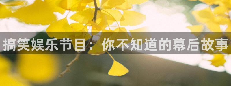 永盈welcomek：搞笑娱乐节目：你不知道的幕后故事