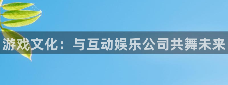 永盈welcome体育凯捷代理注册：游戏文化：与互动娱乐公司共舞未来