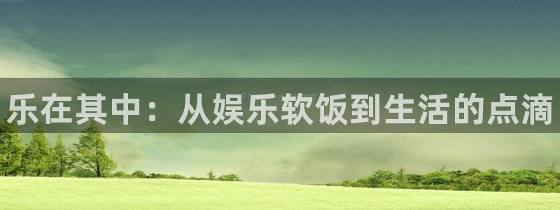 永盈welcome3代理：乐在其中：从娱乐软饭到生活的点滴