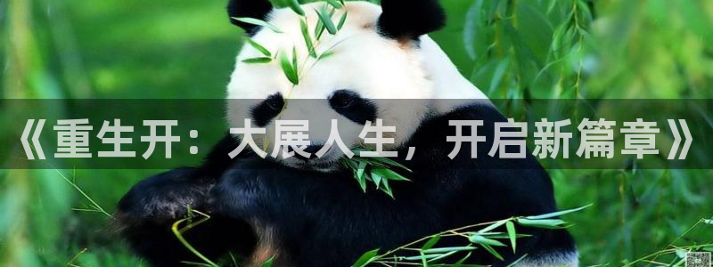 永盈welcome体育凯捷平台招商：《重生开：大展人生，开启新篇章》