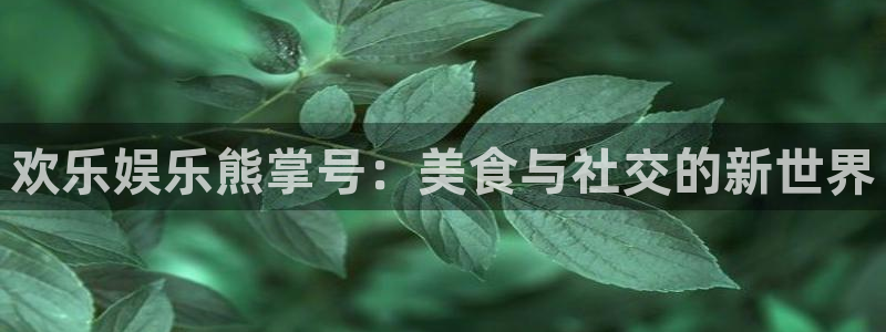 永盈welcome3登录：欢乐娱乐熊掌号：美食与社交的新世界
