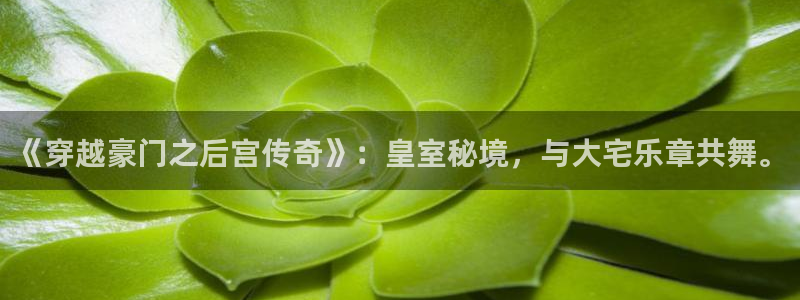 永盈welcomef平台注册：《穿越豪门之后宫传奇》：皇室秘境，与大宅乐章共舞。